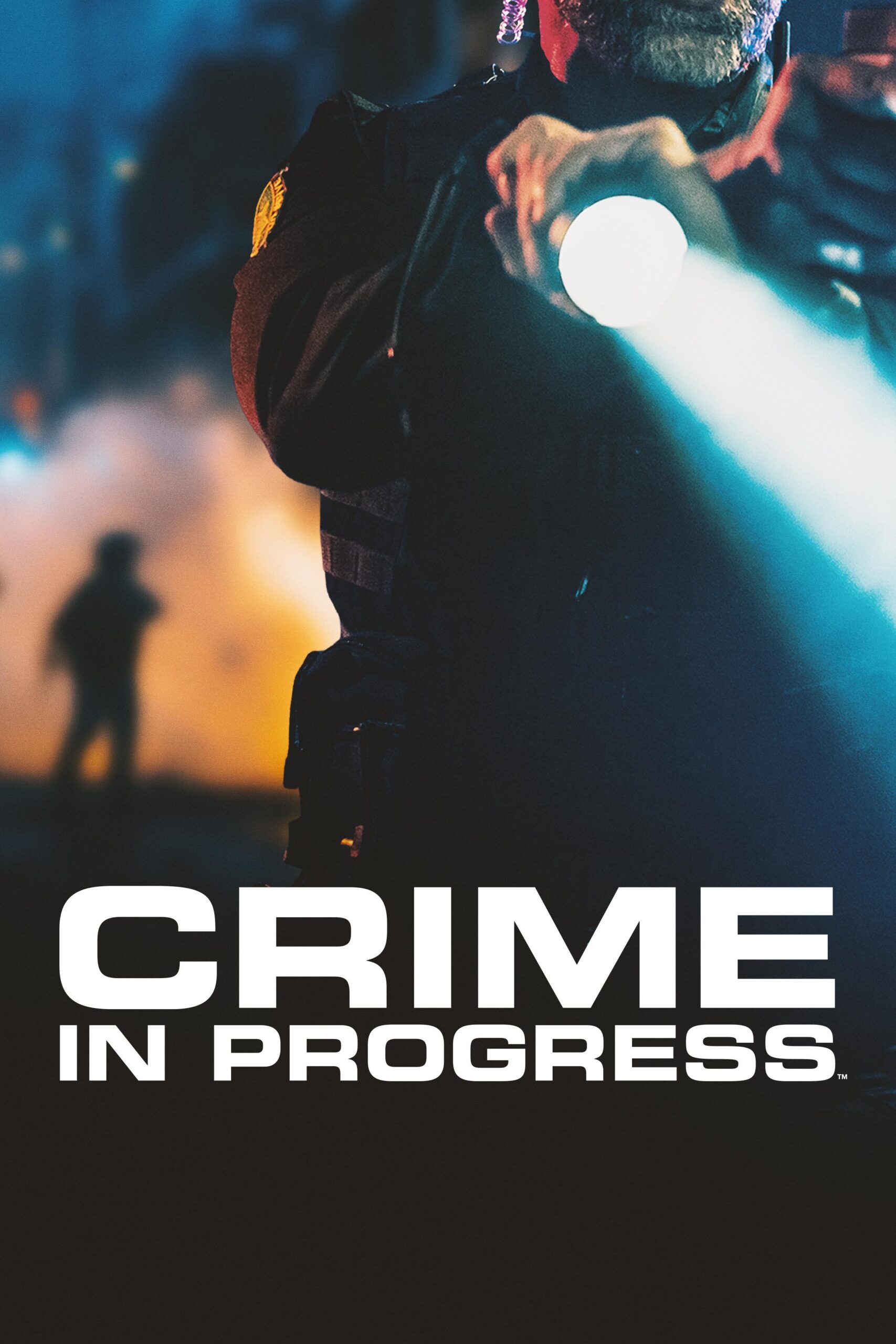Crime in Progress